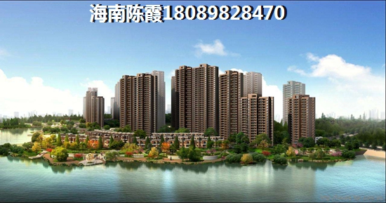pair是什么意思中文翻译成