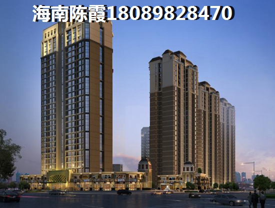 中海壹号地址