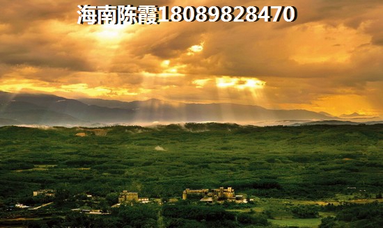 都市无敌神探