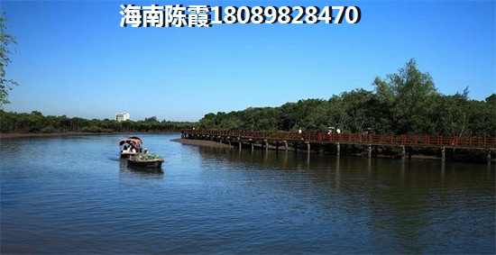 遥控玩具加盟代理