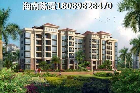 2025见龙苑纸得买吗？海南定安楼盘是否能生纸？