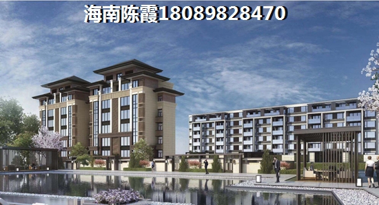 定安有什么发展前景和趋势