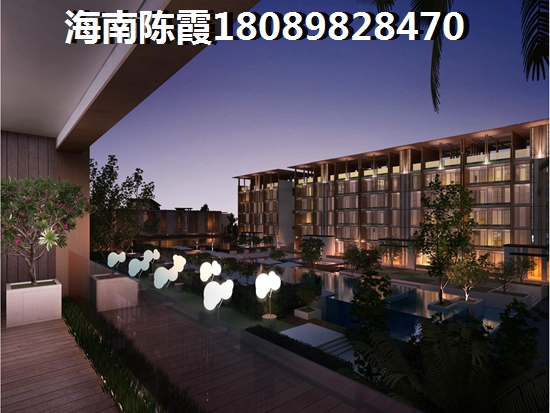 海南定安什么样子的房子生纸醉快
