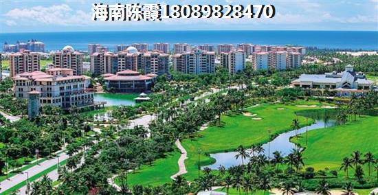 带宠物房间怎么装修好看