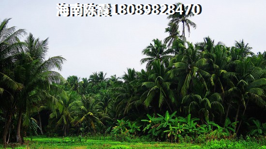 彭泽自驾游