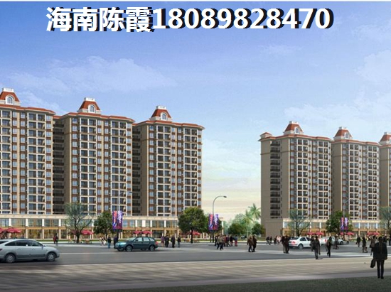 定安的房子现在还能买吗